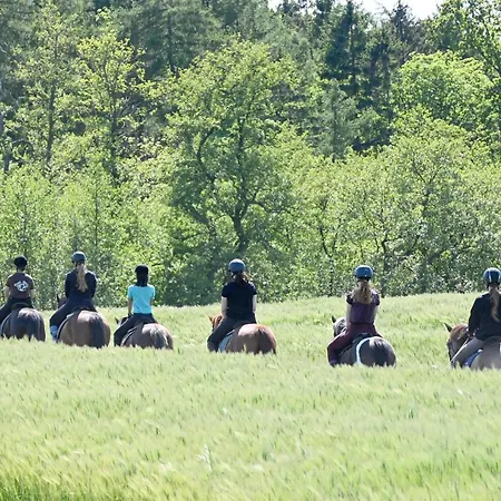 Luxuswellnesshaus Koralle Tatil Evi Bliesdorf